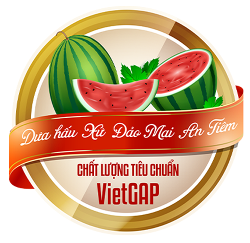 DƯA HẤU XỨ ĐẢO MAI AN TIÊM – NGA YÊN